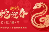 辭舊迎新，蛇舞華章丨深圳容金科技全體員工祝您新春快樂(lè)！
